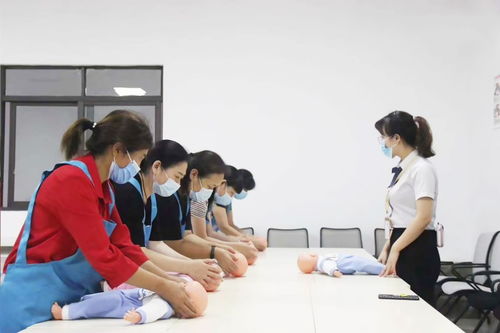 山城家政新風(fēng)尚 為何「晨馨家政」領(lǐng)跑重慶住宿、鐘點(diǎn)及套餐服務(wù)？——開(kāi)荒、月嫂...您的家庭服務(wù)全能管家
